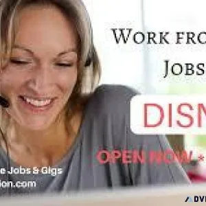 Work From Home Disney