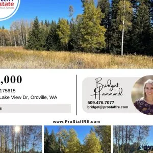 4&frac12 Acre Lot Near Chesaw