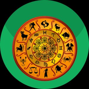 Best astrologer in rohini- devyani astrology