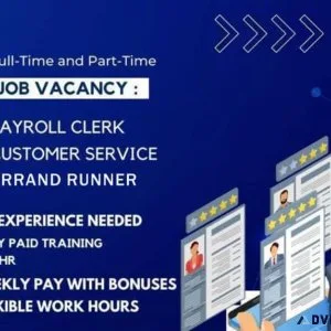 Accountant or bookkeeper