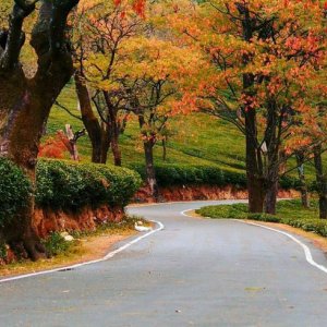 Dharamshala tourism