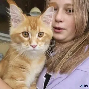 Rehoming