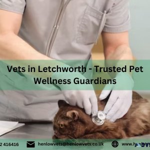 Vets in Letchworth - Trusted Pet Wellness Guardians