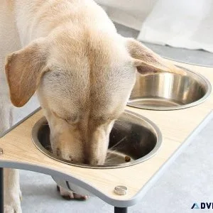 Feedings for Pets Bowl Rack and Large Dog Food Bowl