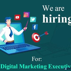 Hiring for Digital Marketing Analyst