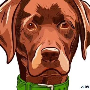 Red Lab Lawn Care LLC.