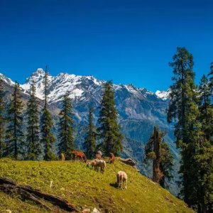 Himachal pradesh toursim