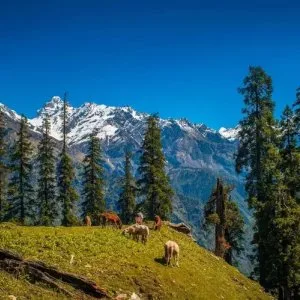 Himachal pradesh toursim