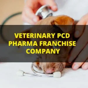 No1 veterinary pcd pharma franchise company in india