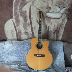 12 string Court
