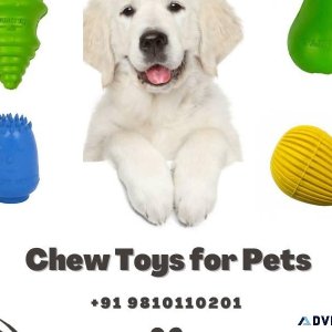 Premium Chew Toys for Pets - Call 91 9810110201