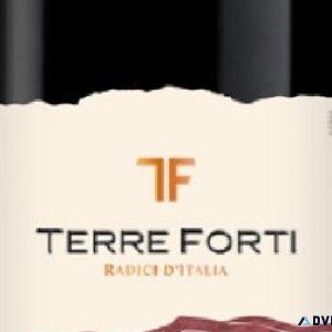 Buy Terre Forti Sangiovese Case - Premium Italian Red Wine