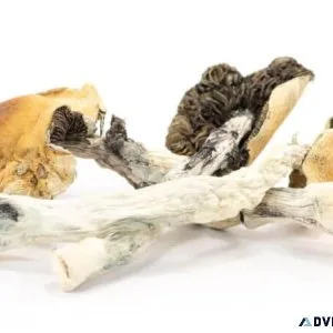 Blue Meanies Mushrooms for sale