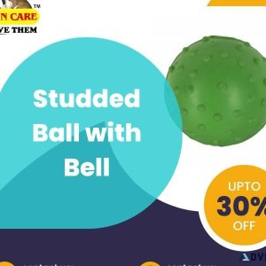 Studded Ball with Bell  Rubber Dog Toy