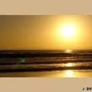 Books by an Expert