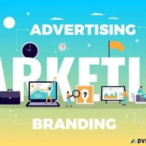 Acemakers Technologies- A Leading Social Media Marketing Company