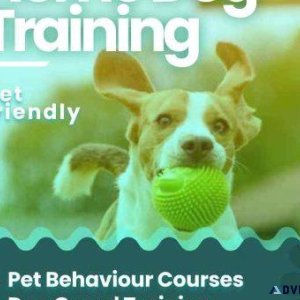 Dog Training Bangalore