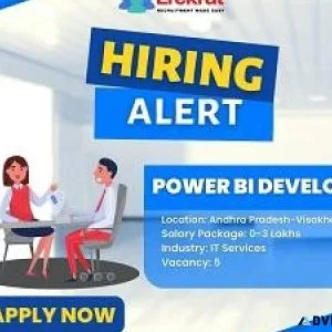 Power Bi Developer Job At Absolin