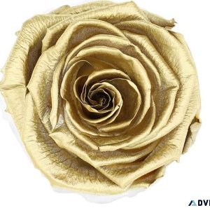 LUXURY .24K Gold Rose Symbolizes A Bond That Never Fades