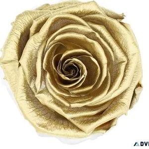 LUXURY .24K Gold Rose Symbolizes A Bond That Never Fades