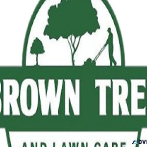 Brown Tree and Lawn Care
