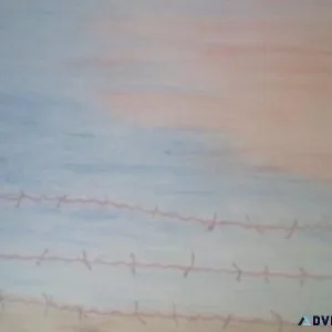 Past the Barbed Wire