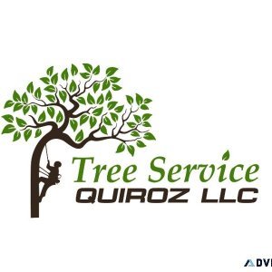 Tree Service Quiroz llc