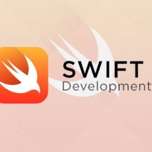 Swift development company | softgrid computers