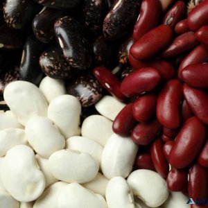 Exporter and Supplier of Canadian White Black and Red Beans
