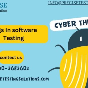 Bugs in software testing