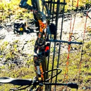 Bear Compound Bow