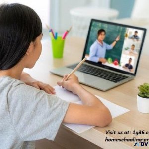 Online Teacher Needed