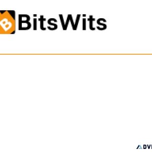 App Development Houston BitsWits