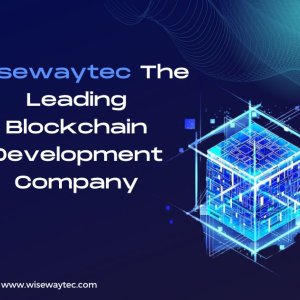 Wisewaytec the leading blockchain development company