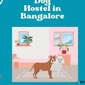 Dog Hostel and Pet Boarding Service in Bangalore
