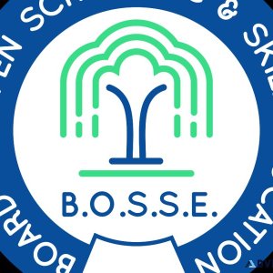 WHY CHOOSE BOSSE