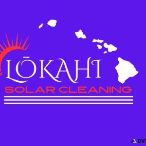 Solar panel cleaning in Kauai