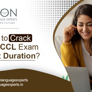 Join vision language experts for top-notch naati ccl