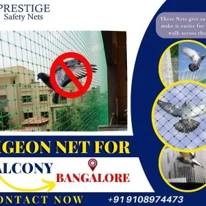 Pigeon safety nets in bangalore
