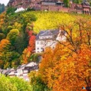 Travel for Less