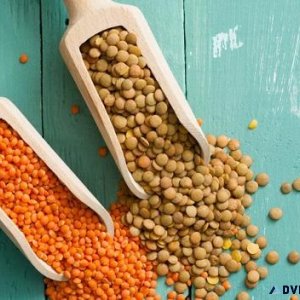 Canadian Green and Red Lentils Exporter and Supplier