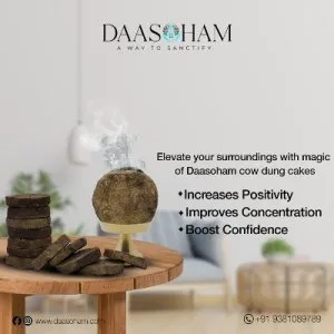 Fresh cow dung cake
