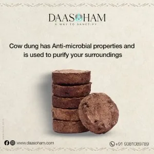 Online dung cake