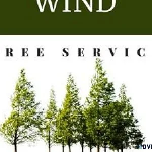 Wind Tree Service