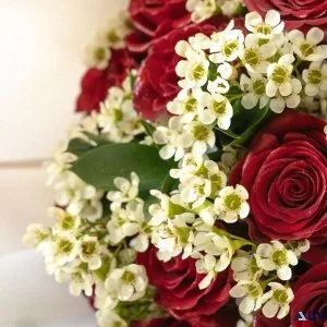 Vancouver s Best Floral Company