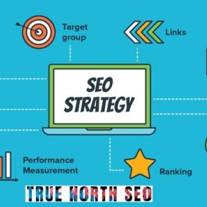 Boost your online visibility: seo strategy with true north seo