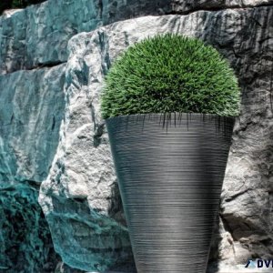 Enhance Your Greenery Stylish Indoor Planters by Designer Plants