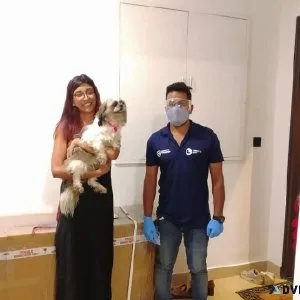 Pet Transport Service in India
