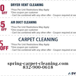 Spring Carpet Cleaning