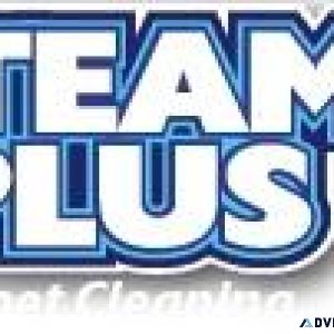 Steam Plus Carpet Cleaning